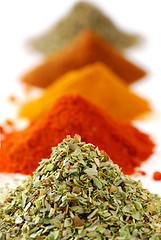 Image showing Spices