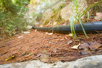 Image showing Plastic pipe on the earth\'s surface