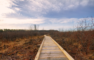 Image showing recreational tour trail road