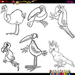 Image showing birds cartoon coloring page