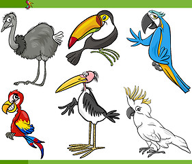 Image showing birds cartoon set illustration