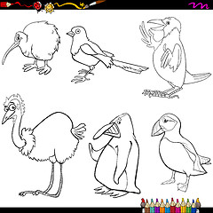 Image showing birds cartoon coloring page