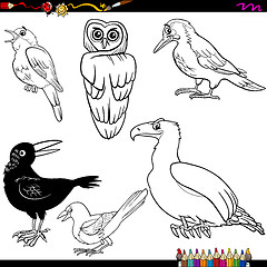 Image showing birds cartoon coloring page