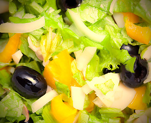 Image showing Assorted green leaf lettuce with squid and black olives