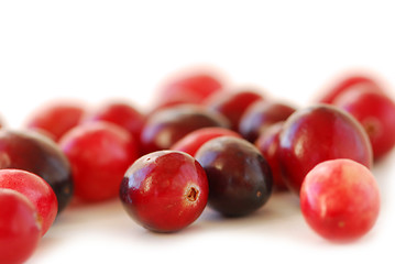 Image showing Cranberries macro