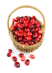 Image showing Cranberries in a basket