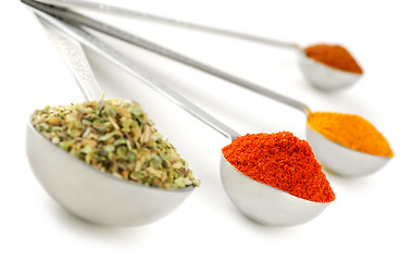 Image showing Spices in measuring spoons