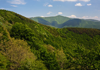 Image showing Spring hilly landscape. Tuscany, Italy