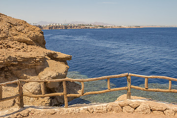 Image showing Red Sea coastal coral reef