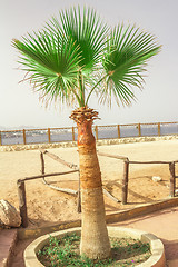 Image showing Beach landscape