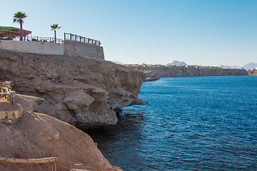 Image showing Red Sea coastal coral reef