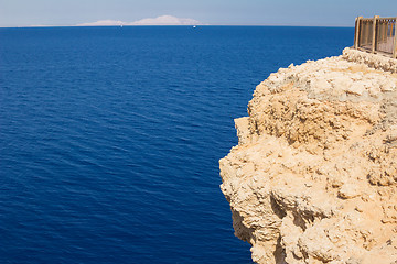 Image showing swimmer considers reefs