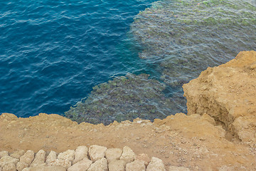 Image showing Red Sea coastal coral reef