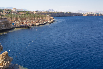 Image showing Red Sea coastal coral reef