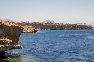 Image showing Red Sea coastal coral reef