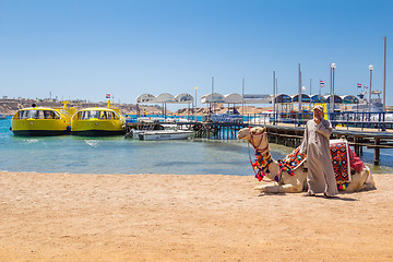 Image showing Camel with a drover on the beach