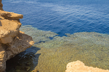 Image showing Red Sea coastal coral reef