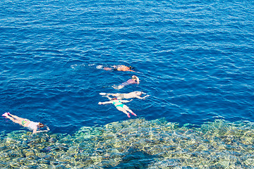 Image showing Egypt. Snork Linguists examine coral reef