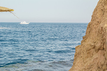 Image showing Red Sea coastal coral reef