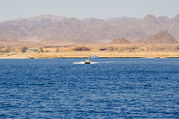 Image showing Powerboat racing at high speed in the Red Sea