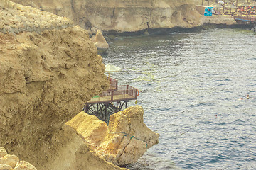 Image showing Red Sea coastal coral reef