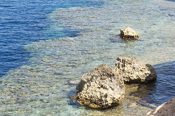 Image showing Red Sea coastal coral reef