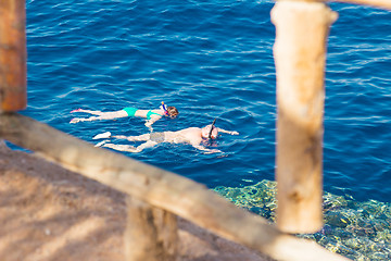 Image showing Egypt. Snork Linguists examine coral reef