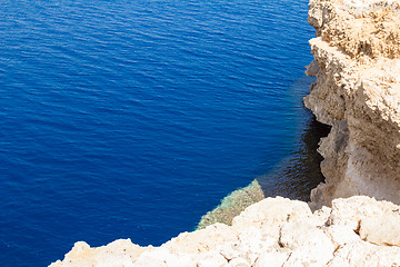 Image showing Red Sea coastal coral reef