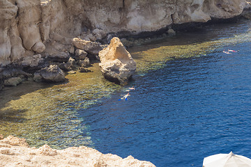 Image showing Egypt. Snork Linguists examine coral reef