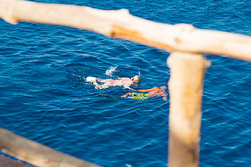 Image showing Egypt. Snork Linguists examine coral reef