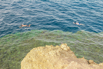 Image showing Egypt. Snork Linguists examine coral reef