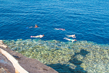 Image showing Egypt. Snork Linguists examine coral reef