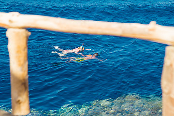 Image showing Egypt. Snork Linguists examine coral reef