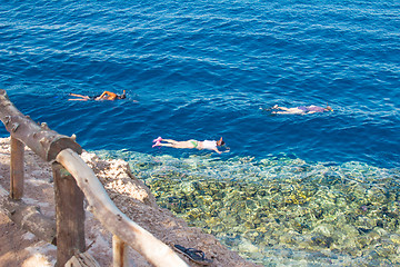 Image showing Egypt. Snork Linguists examine coral reef