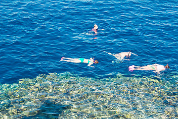 Image showing Egypt. Snork Linguists examine coral reef