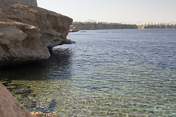 Image showing Red Sea coastal coral reef