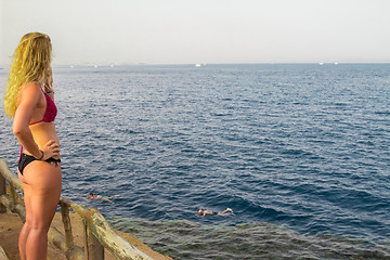 Image showing Egypt. Snork Linguists examine coral reef