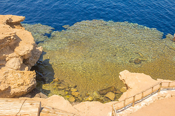 Image showing Red Sea coastal coral reef