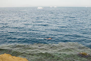 Image showing Egypt. Snork Linguists examine coral reef