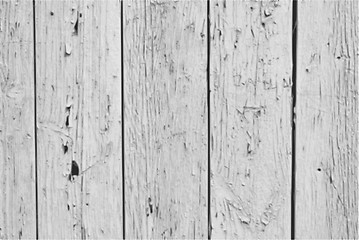 Image showing Vector Vintage  White Background Wood Wall