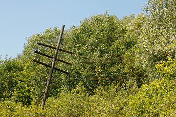 Image showing Old rickety wooden telegraph pole