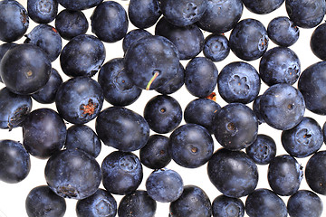 Image showing blueberries isolated