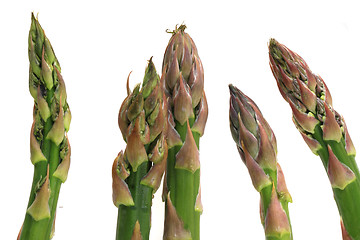 Image showing asparagus vegetable