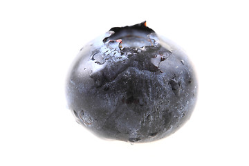 Image showing blueberry isolated