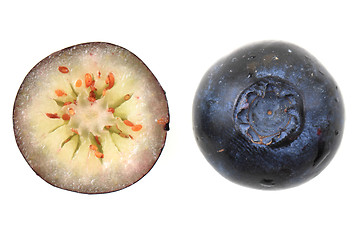 Image showing blueberry isolated