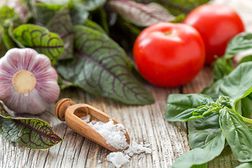 Image showing Salt, herbs, tomatoes and garlic.