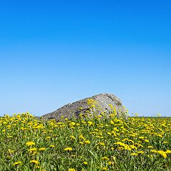 Image showing Dandelions and stone on skyline