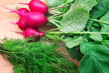 Image showing Radishes and green dill on a cutting Board