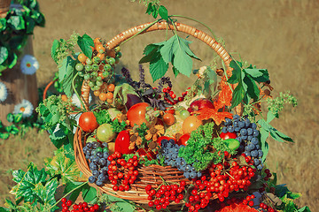 Image showing Harvest vegetables, fruits, berries sold at the fair