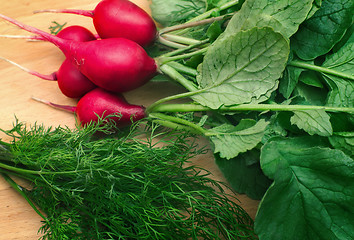 Image showing Radishes and green dill on a cutting Board